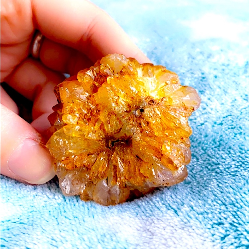 EXTREMELY RARE !!!! lavender rose quartz on three citrine flowers